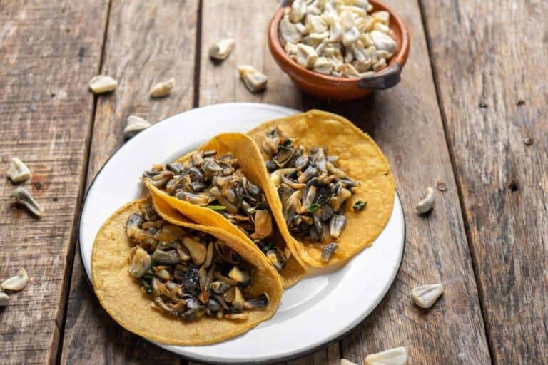 Quesadillas de huitlacoche Cómo Hacerlas en 8 PASOS