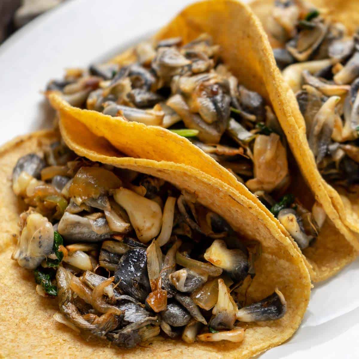 Arriba 90+ imagen receta de quesadillas de huitlacoche - Abzlocal.mx